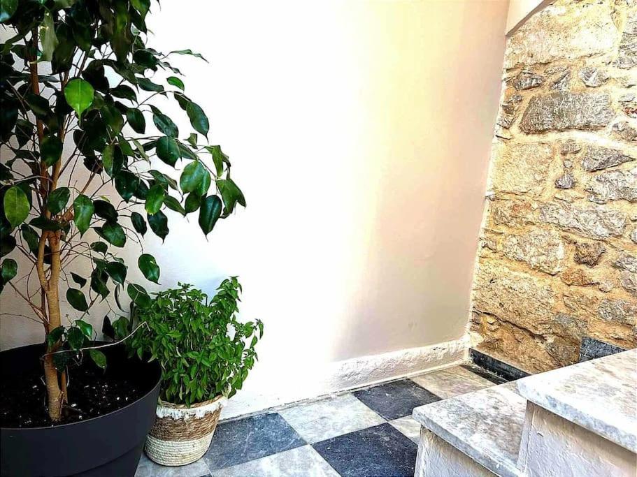 Ammoudara'S Apartments Rooftop Kalymnos Town Luaran gambar